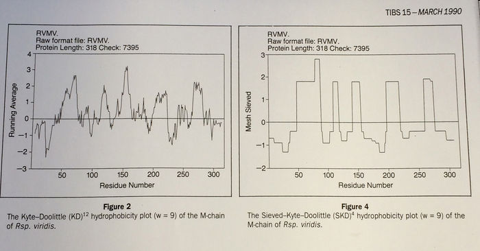 Hydrophobicity plots Fasman.jpg