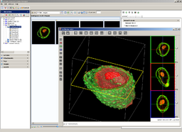 OMERO / VolViewer integration.